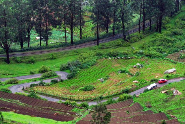 Ooty
